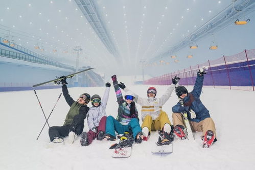 (冰雪乐园有什么项目)探访冰雪乐园的最热门项目TOP10，不容错过的精彩体验！