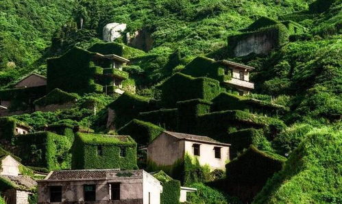 (江南百景图孤魂野鬼怎么办)探寻江南百景图孤矢庭院，细致攻略全方位旅游信息